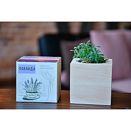 Набір для вирощування Екокубик Лаванда HMD (114-10817372)