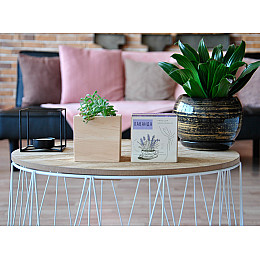 Набір для вирощування Екокубик Лаванда HMD (114-10817372)