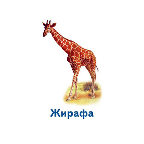 Настольная игра Парочки: Мир животных Ранок 1392003 6 игр