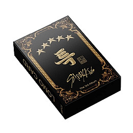 Набор карточек Bioworld Стрей Кидс Stray Kids Ломо 55 шт (22922)