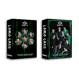 Набор карточек GOT7 Dark Ломо 30шт (23529) Fan Girl