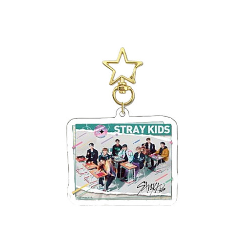 Брелок акриловый Bioworld Стрей Кидс Stray Kids v1 (23265)