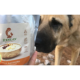 Каша ЇDLO бананова з сухофруктами (IDLO-KBSUH-100)