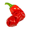 Набор для выращивания острого перца Pepper-X Peter Pepper Red 750 г