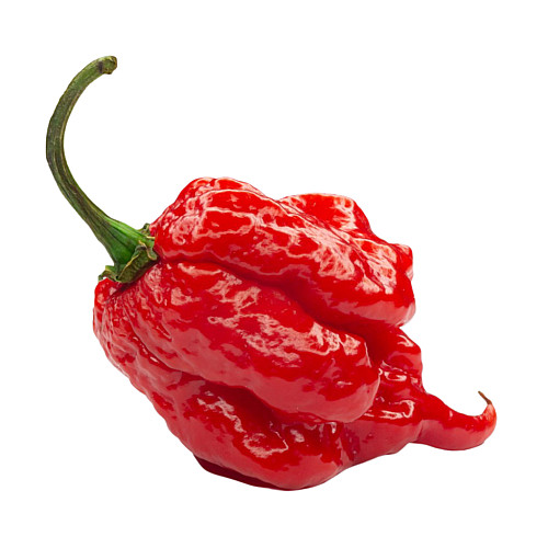 Набор для выращивания острого перца Pepper-X Carolina Reaper Red 750 г