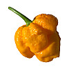 Набор для выращивания острого перца Pepper-X 7 Pot Brain Strain Yellow 750 г