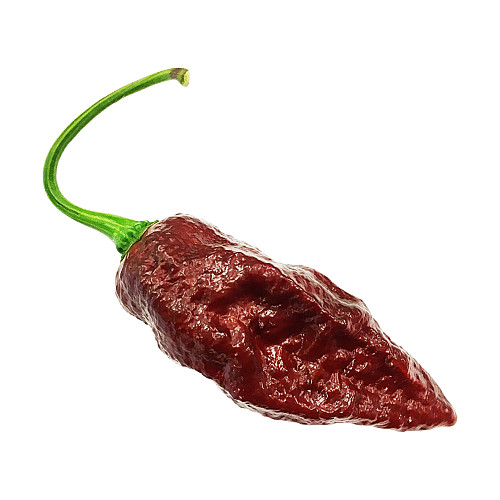 Набор для выращивания острого перца Pepper-X Bhut Jolokia Chocolate 750 г
