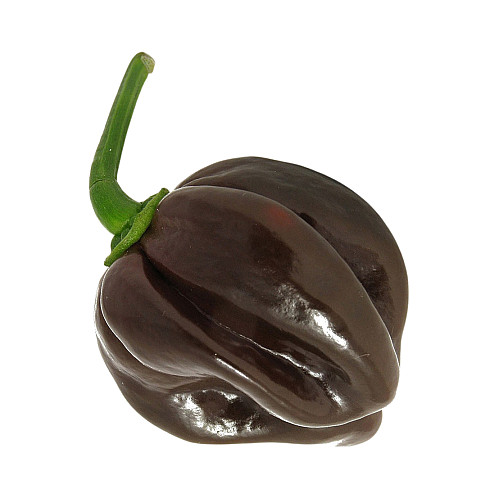 Набор для выращивания острого перца Pepper-X Habanero Chocolate 750 г