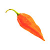Набор для выращивания острого перца Pepper-X Fatalii Orange 750 г