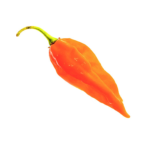 Набор для выращивания острого перца Pepper-X Fatalii Orange 750 г