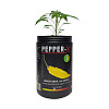 Набор для выращивания перца Pepper-X Lemon Drop Aji Lemon 750 г