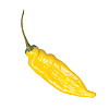 Набор для выращивания перца Pepper-X Lemon Drop Aji Lemon 750 г