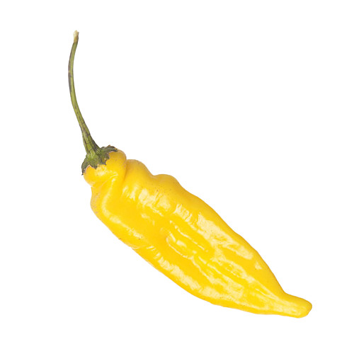 Набор для выращивания перца Pepper-X Lemon Drop Aji Lemon 750 г