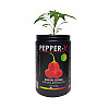 Набор для выращивания острого перца Pepper-X Bishops Crown 750 г