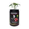 Набор для выращивания острого перца Pepper-X Black Pearl 750 г
