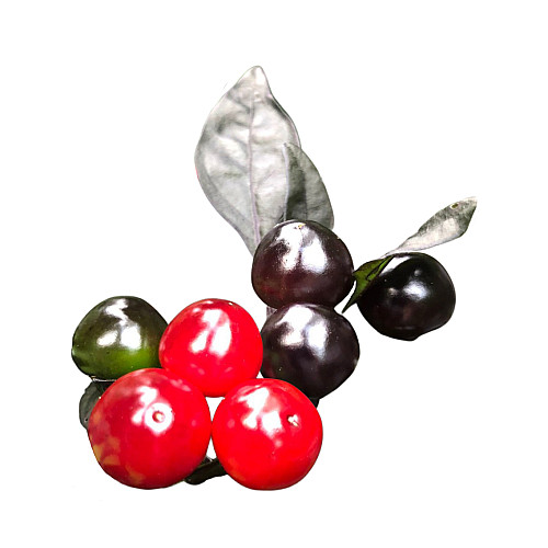 Набор для выращивания острого перца Pepper-X Black Pearl 750 г