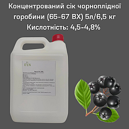 Концентрированный сок Eva Черноплодной рябины 5 л / 6,5 кг