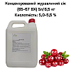 Концентрированный сок Eva Клюквенный 5 л / 6,5 кг
