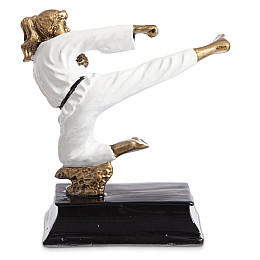 Статуетка нагородна спортивна Карате Каратистка HX1836-B8 FDSO Білий (33508294)