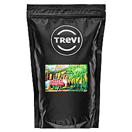 Кава у зернах Trevi Арабіка Гондурас 1 кг