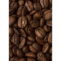 Кава у зернах Trevi Робуста Індонезія 1 кг