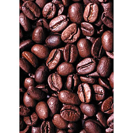 Кава у зернах Trevi Робуста Уганда 1 кг