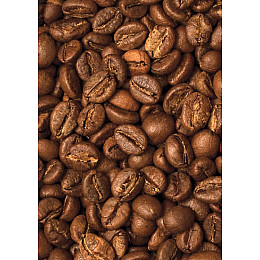 Кава в зернах Trevi Робуста Парчмент 1 кг