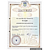Кофе в пирамидках Trevi Strong 10 г х 50 шт