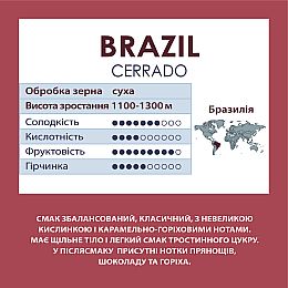 Кава в зернах Standard Coffee Бразилія Черрадо 100% арабіка 1 кг