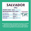 Кава в зернах Standard Coffee Сальвадор SHG арабіка 1 кг