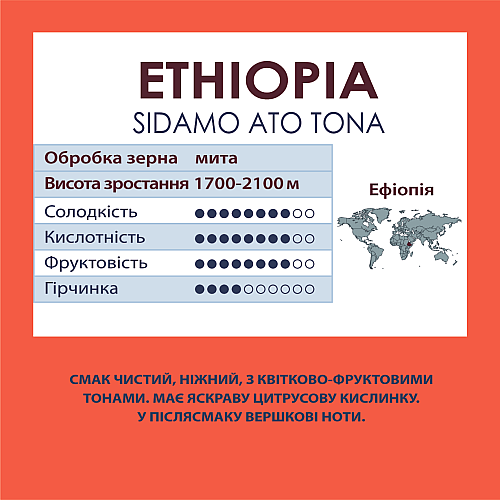Кава в зернах Standard Coffee Ефіопія Ато-Тона 100% арабіка 500 г