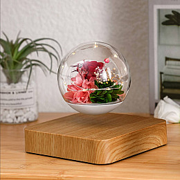 Левитирующий цветок Levitating 6" 16 см Разноцветный (LPG6001LTCV)