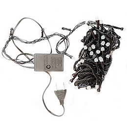 Гирлянда RD-7175 100LED 9м цвет микс (10684-hbr)