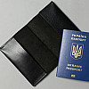 Паспортна обкладинка чорна The Wings