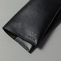 Паспортна обкладинка чорна The Wings