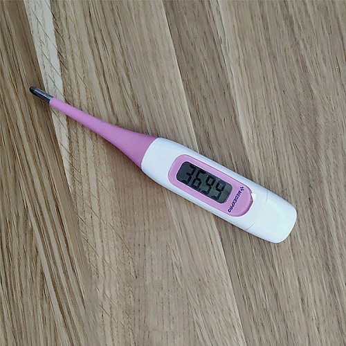 Термометр базальной температуры для женщин MedExPro JT002BT Pink