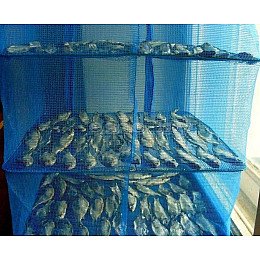 Сетка для сушки рыбы фруктов грибов Stenson "U" SF24146-45 3 яруса 45х45х68 см синяя