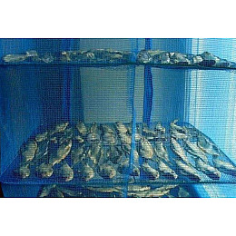 Сетка для сушки рыбы Stenson "U" SF24146-45-5 5 ярусов, 45х45х98 см