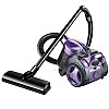 Пылесос контейнерный RAF R.8662 3.0L 1200W Purple (3_03758)