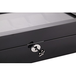 Скринька для зберігання годинників Salvadore 841-12BG Чорний