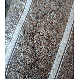 Міцелій Шіїтаке зерновий 1 кг (hub_00t085)