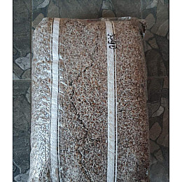 Міцелій Шіїтаке зерновий 1 кг (hub_00t085)