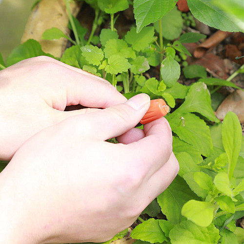Універсальна система поливу саду і городу 10м Muciakie Garden садова насадка-розпилювач для орошення 4/7 мм з швидкозатискачем конектором.