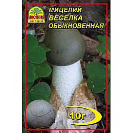 Мицелий грибов Насіння країни Веселка лечебная 10 г