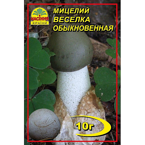 Мицелий грибов Насіння країни Веселка лечебная 10 г