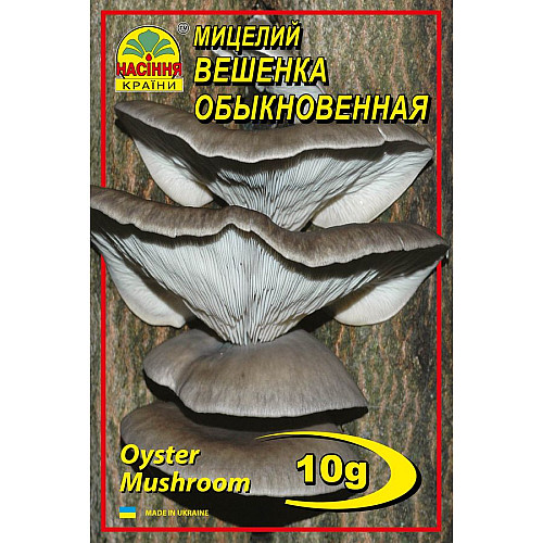 Мицелий грибов Насіння країни Вешенка обыкновенная 10 г