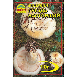 Мицелий грибов Насіння країни Груздь 10 г