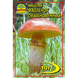 Мицелий грибов Насіння країни Масленок 10 г