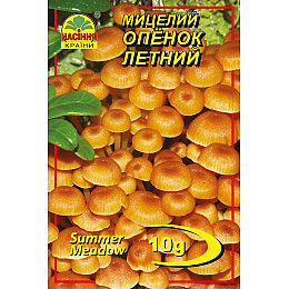 Мицелий грибов Насіння країни Опенок летний 10 г