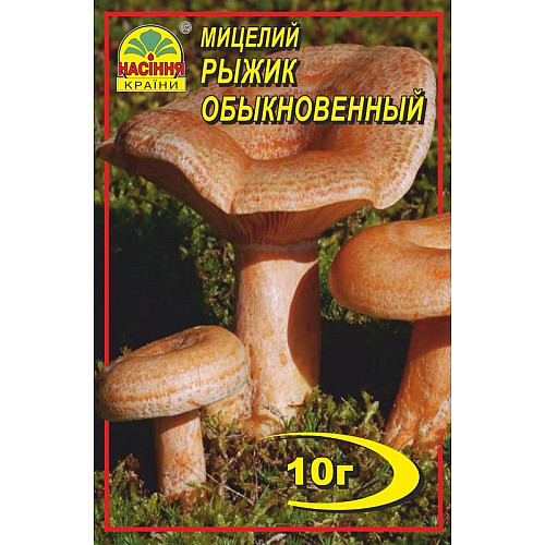 Мицелий грибов Насіння країни Рыжик 10 г